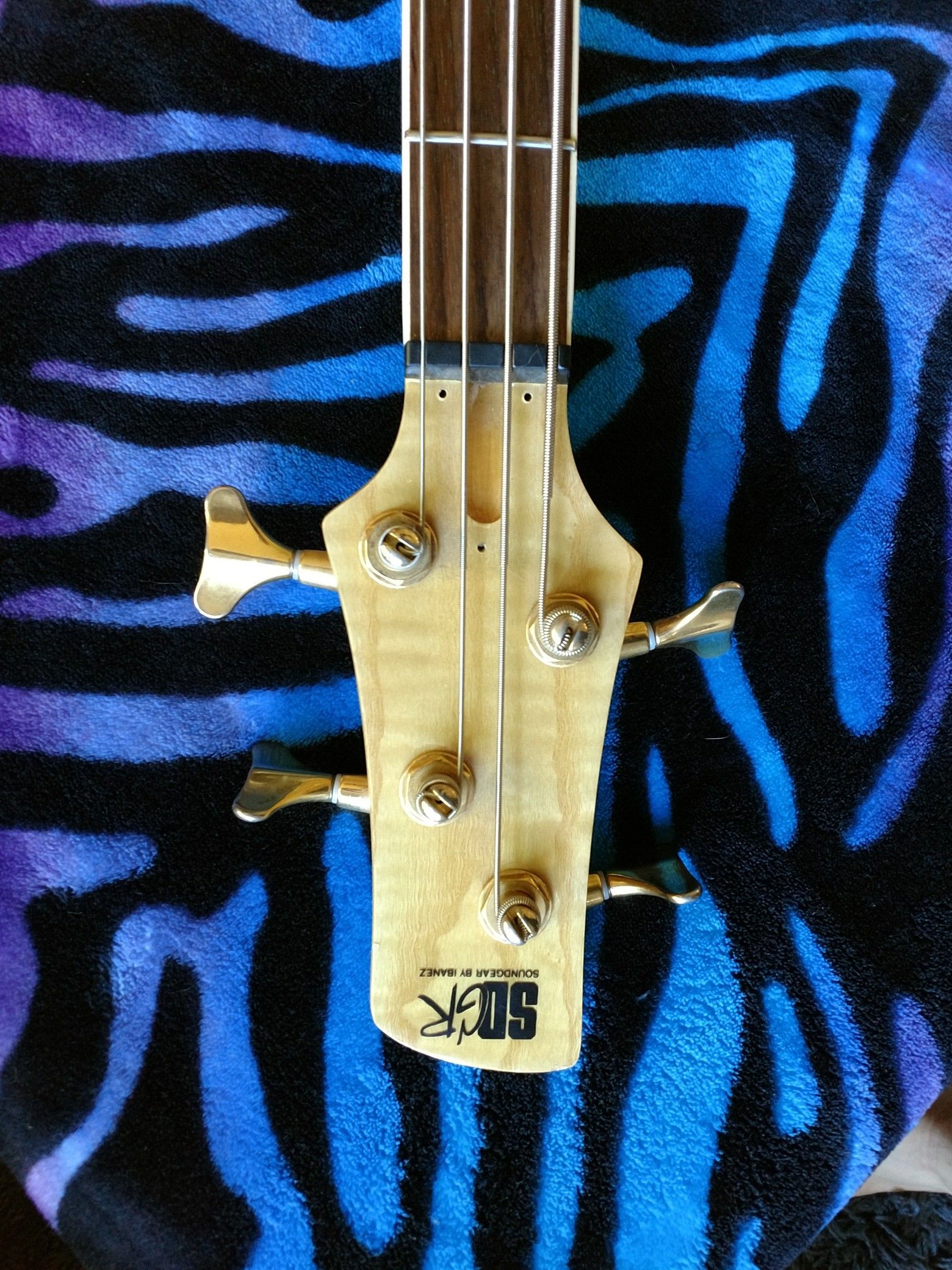 Ibanez srx650 2024