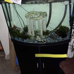 36 Gallon Bow Fish tank