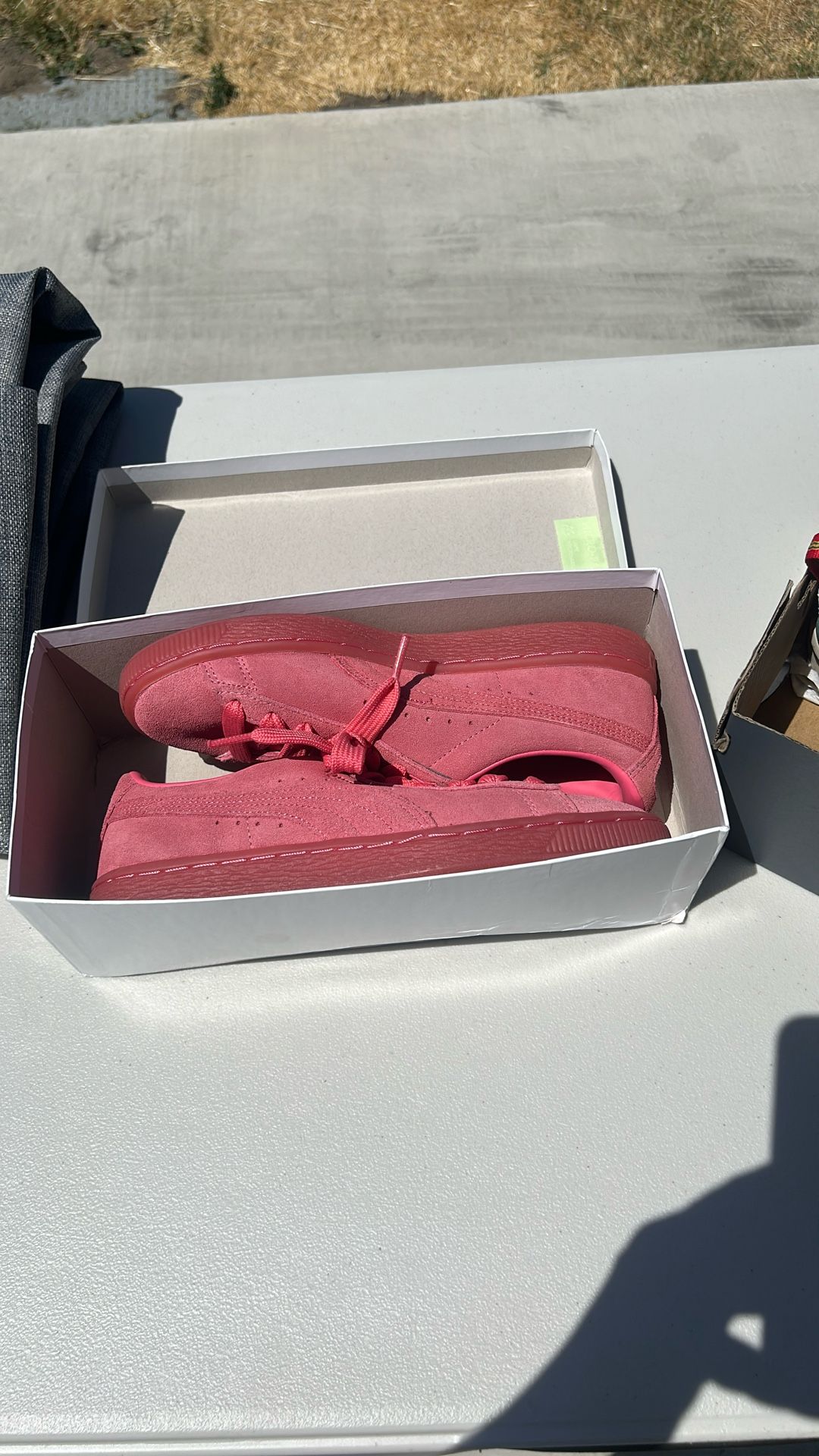New Pumas