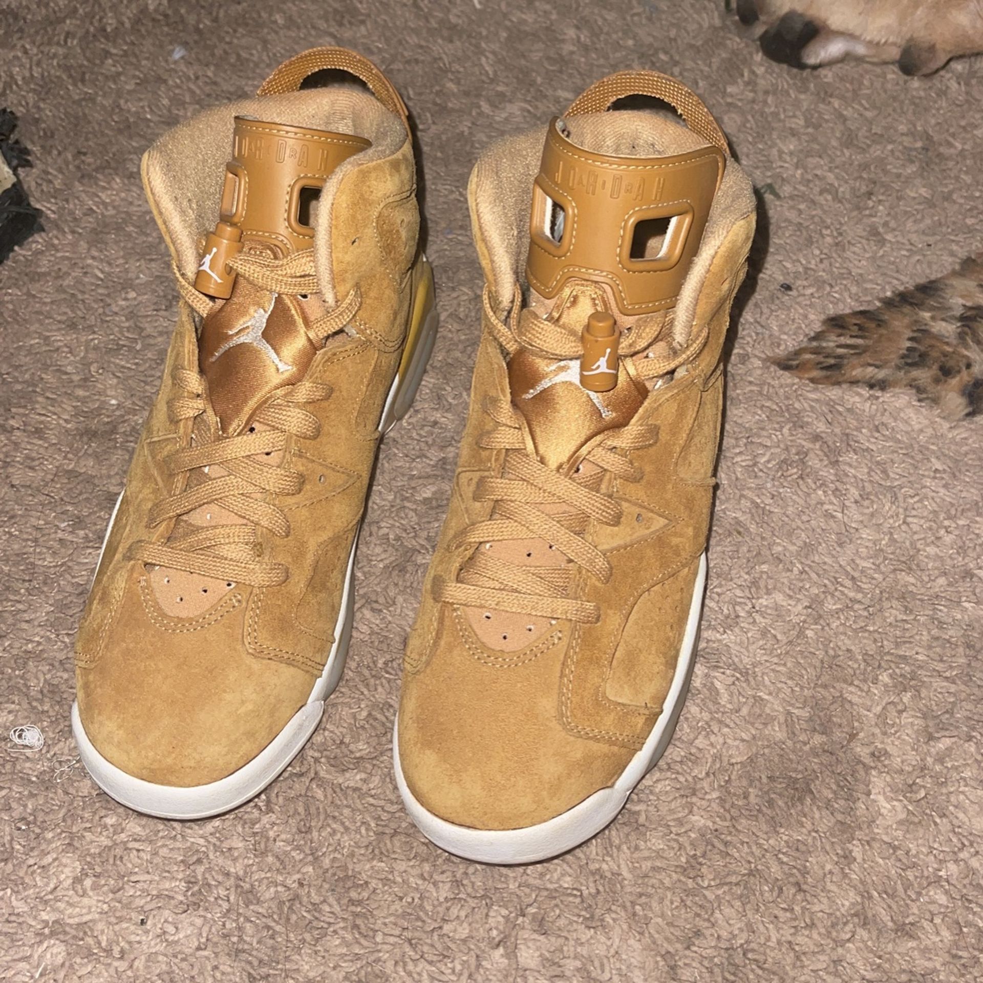 Jordan 6 Golden Harvest 
