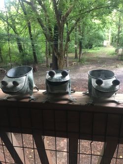 Metal frog plant holders