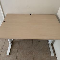 Adjustable Desk Standing Desk