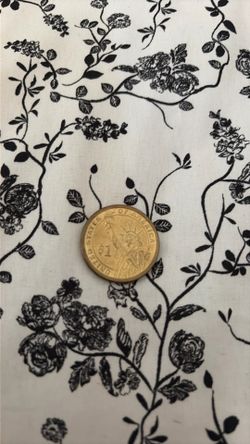 Rare gold one dollar coin