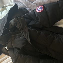 canada goose