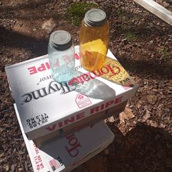 2old Mason Jars