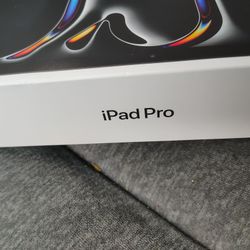 iPad Pro 11 Inch M4 256GB