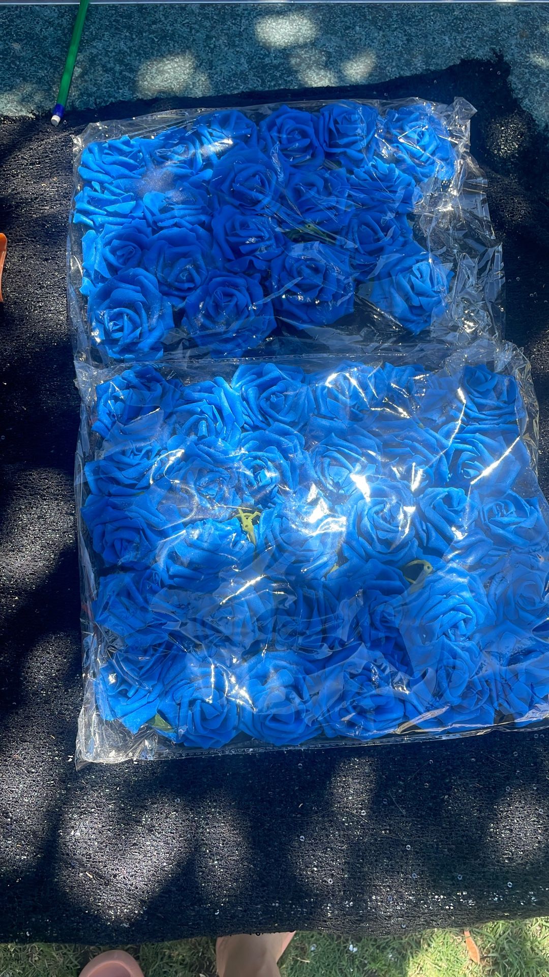 49 Blue Roses