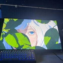 Monitor
