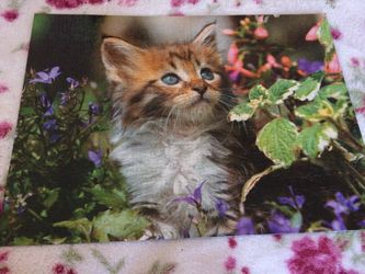 Puzzle kitten