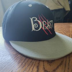 BEAST Claw Mark Snapback Hat – Black & Gray Flat Brim Cap – Embroidered – NWT