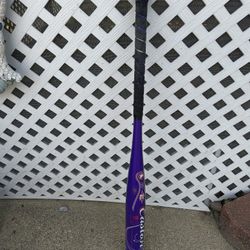 Purple Bat