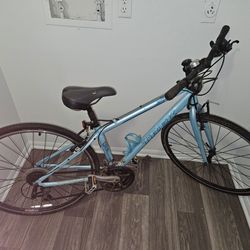 Trek bike