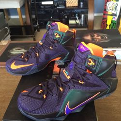  Nike Air Lebron  Size 9