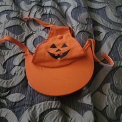 Medium Dog Halloween Hat