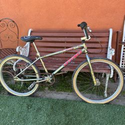 GT Dyno Nitro 24 Inch Bmx 