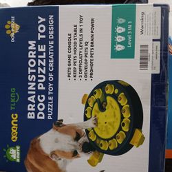 Brainstorm Dog Puzzle Toy