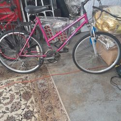 Women Giant Bike Good Condition 