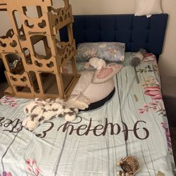 Queen Bed Mattress And Frame 