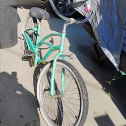 Bicicleta 