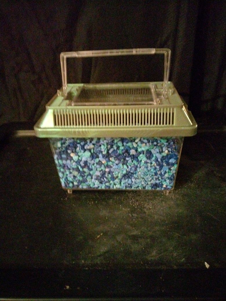 Mini Portable Fish Tank With Pebbles.