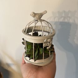 birdcage with faux succulent 