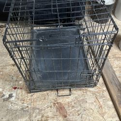 Dog House