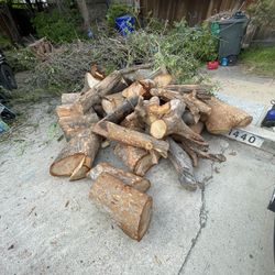FREE Wood  (some Dry, Some Not)