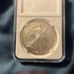 2022 Silver Eagle