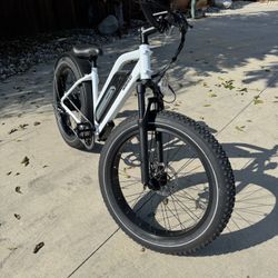 Electric Bike Lone Range Off Road Fat Tire