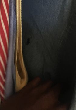 Polo Ralph Lauren shirts , button ups , vests , sweaters