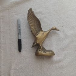 Brass Duck