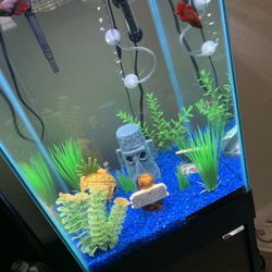 Aqueon 15 gallon tank with column stand