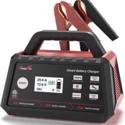 TowerTop 2/10/25 Amp 12V Smart Car Battery Charger, Fully Automatic Battery Maintainer with Engine Start, Auto Desulfator, Battery Repair, Winter Mode