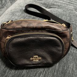 Waist pouch leather Bag