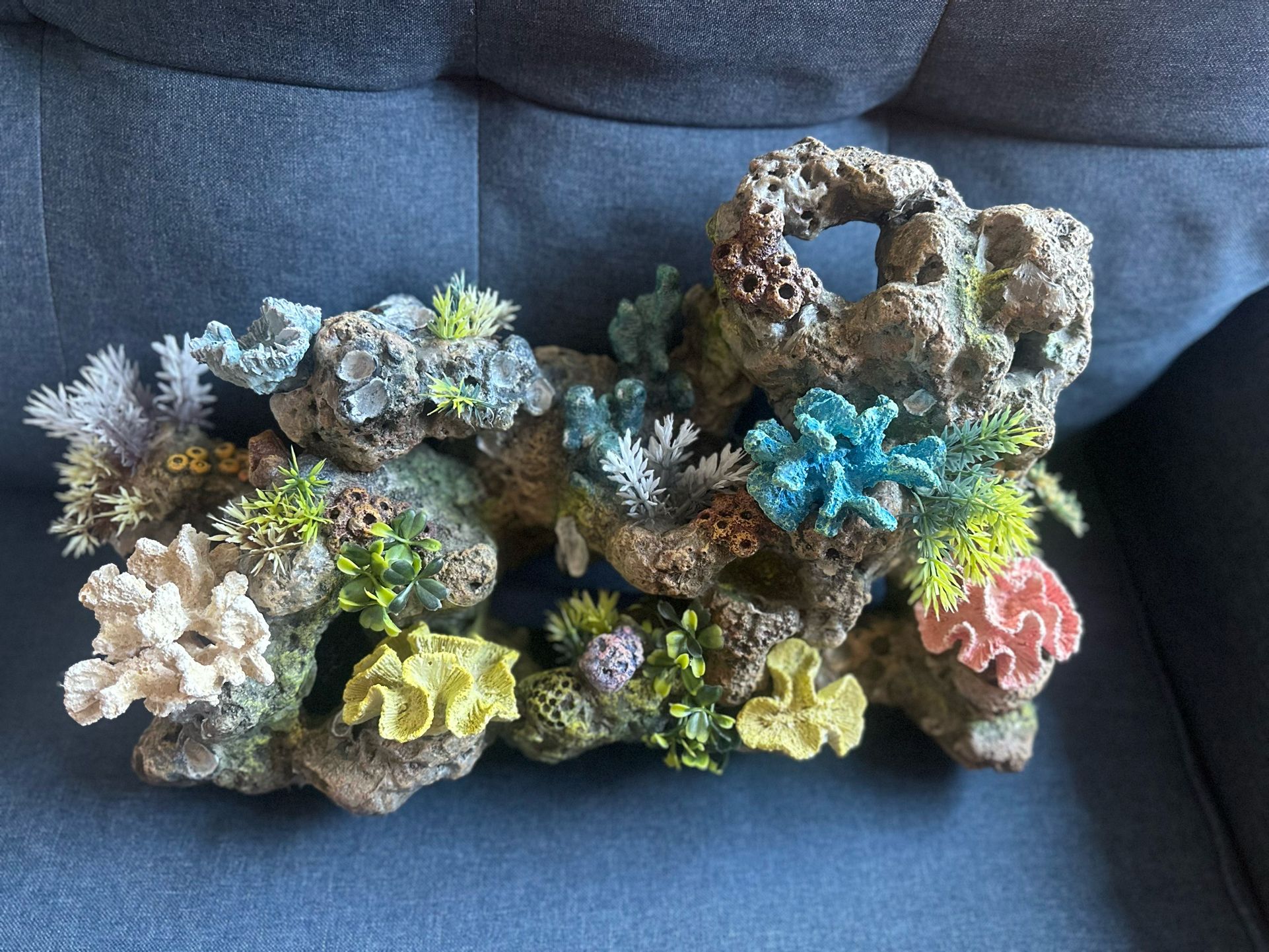 Coral Reef Decor: