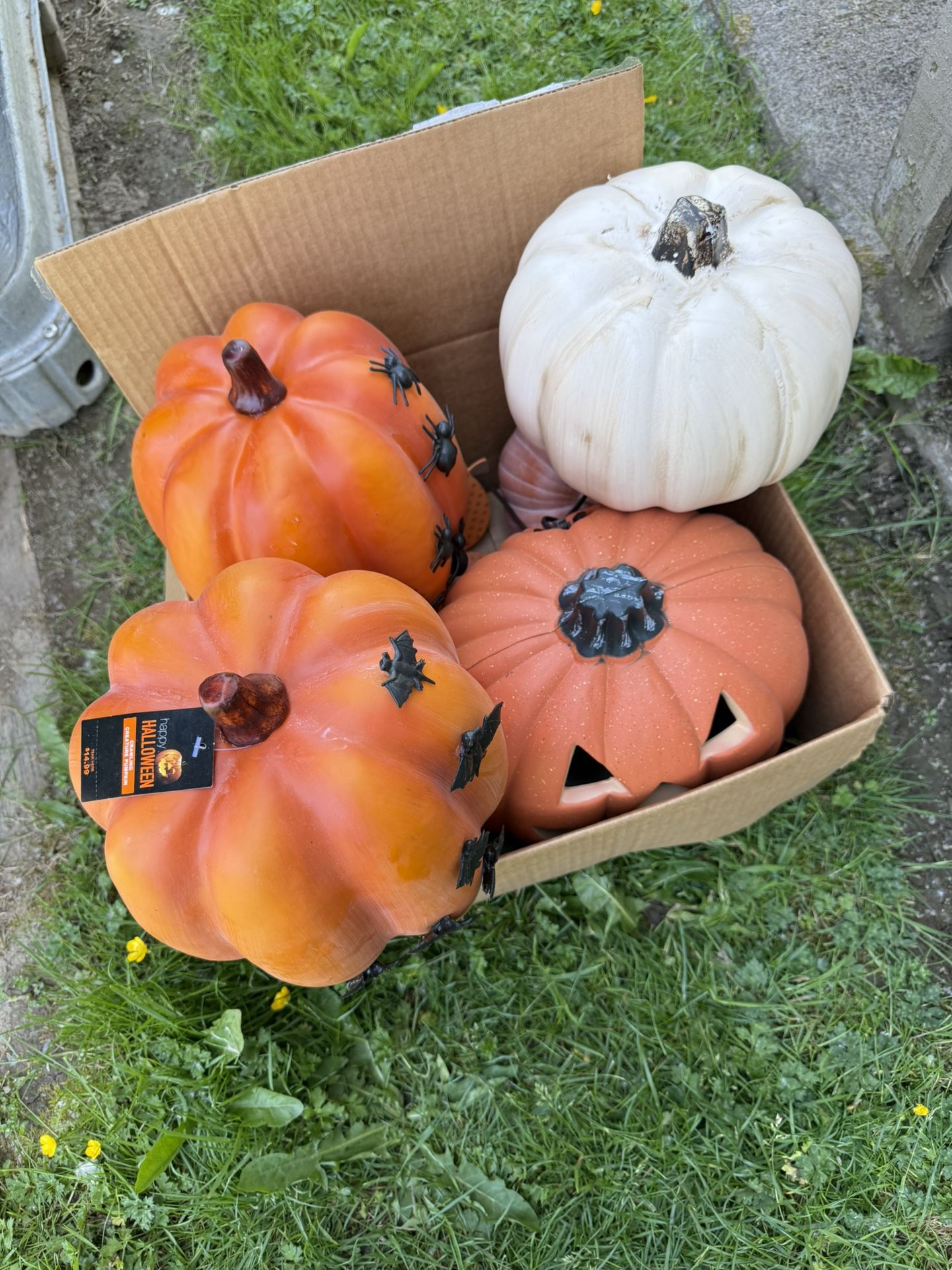 Box of pumpkins