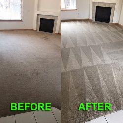 Professional carpet cleaning