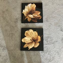 Yellow Flower Print Pictures