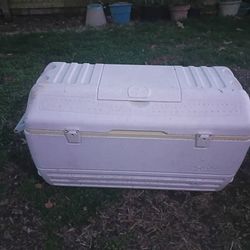 Igloo Cooler 