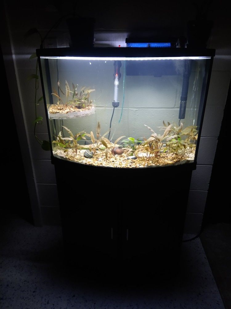 36-40 GAL Fish Tank