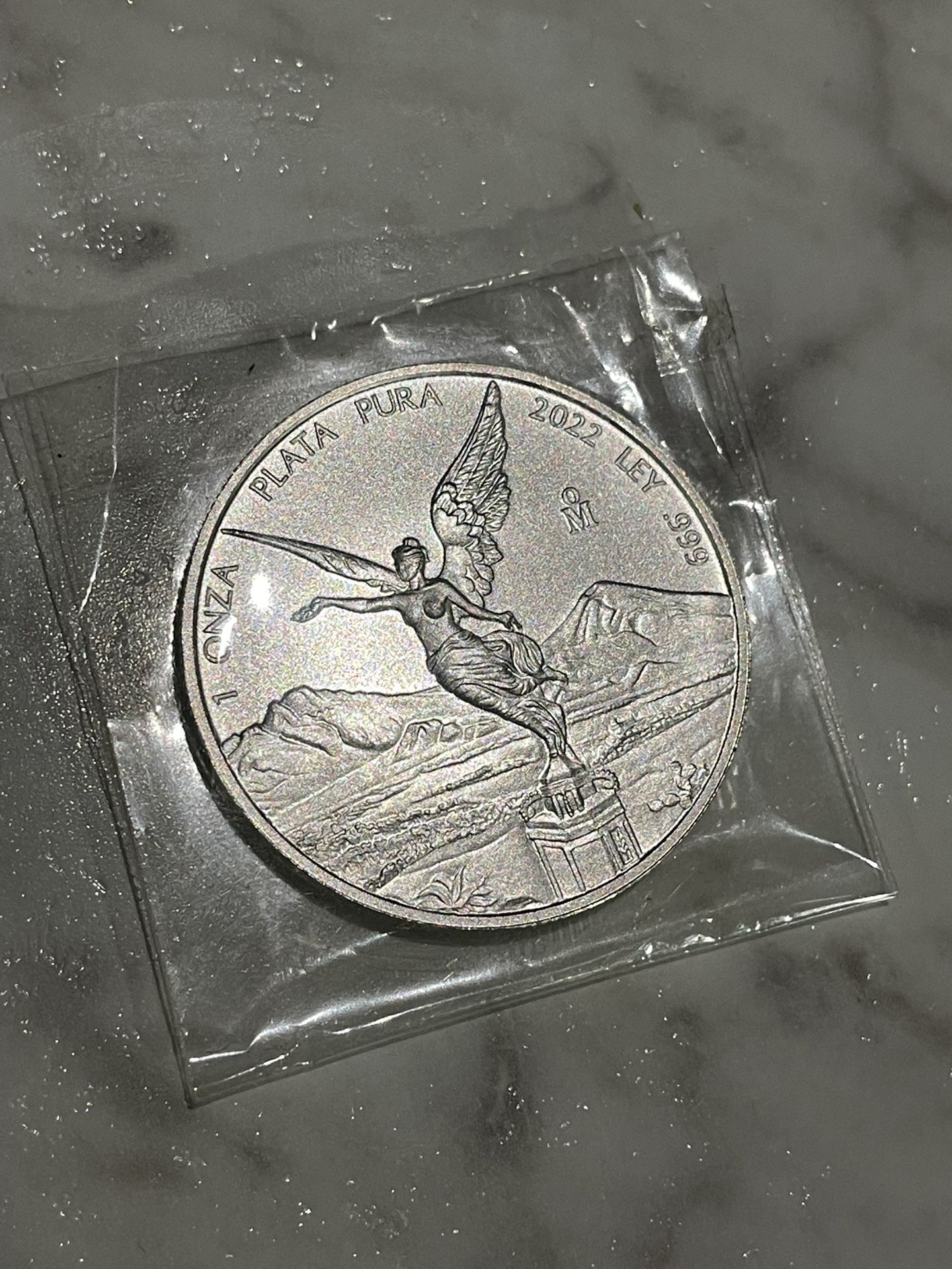 2022 Silver Libertad