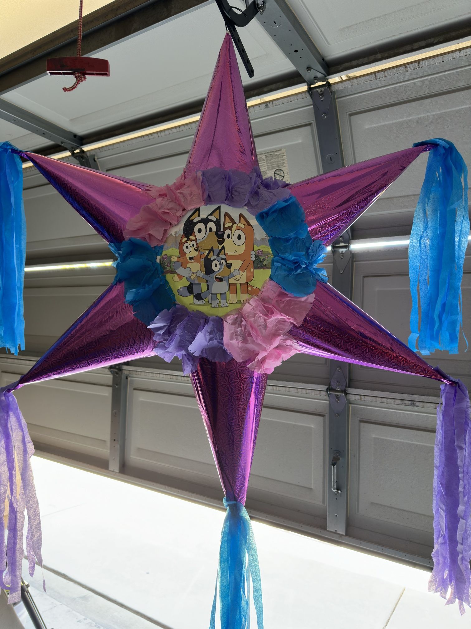 Bluey Star Pinata