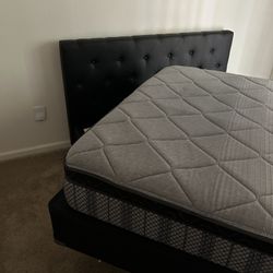 Mattress And Box Spring, & Headboard 