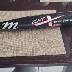 Baseball Bat
