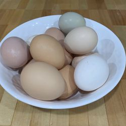 Fresh Free Range Chicken Eggs 