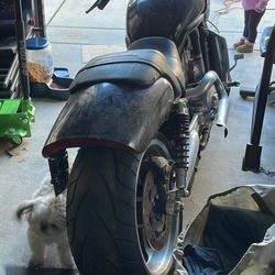 Harley Davidson 2009 V-rod Muscle 