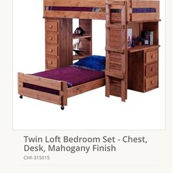 Twin Loft Bed/ Bunk Beds