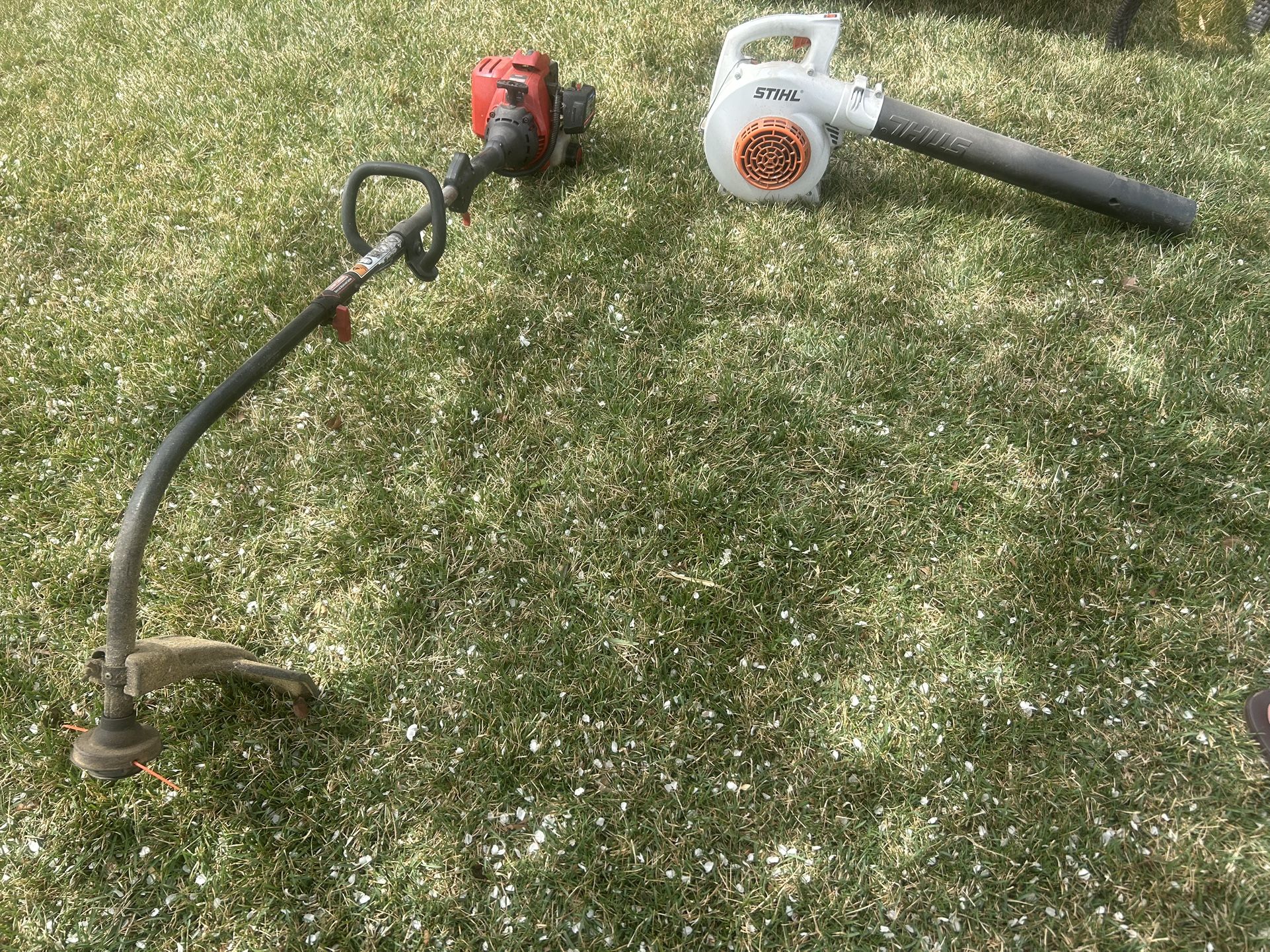 Weed Whip/Blower separate 