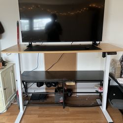 Standing/Treadmill/Power User Setup