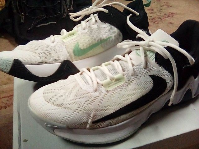 Nike Men's Giannis Immortality 2